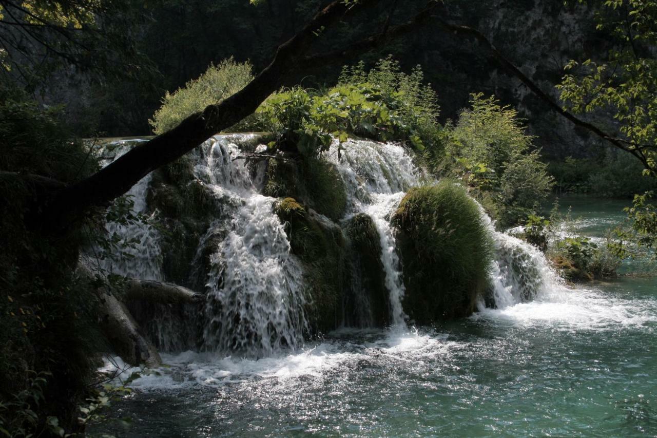 Jeli Apartments Starigrad Paklenica Exteriör bild